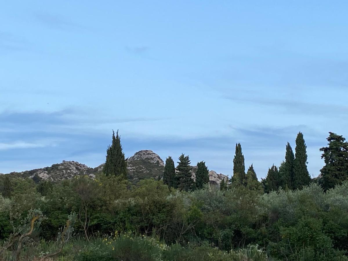Saint-Rémy-de-Provence Mas De La Cadeniere 빌라 외부 사진