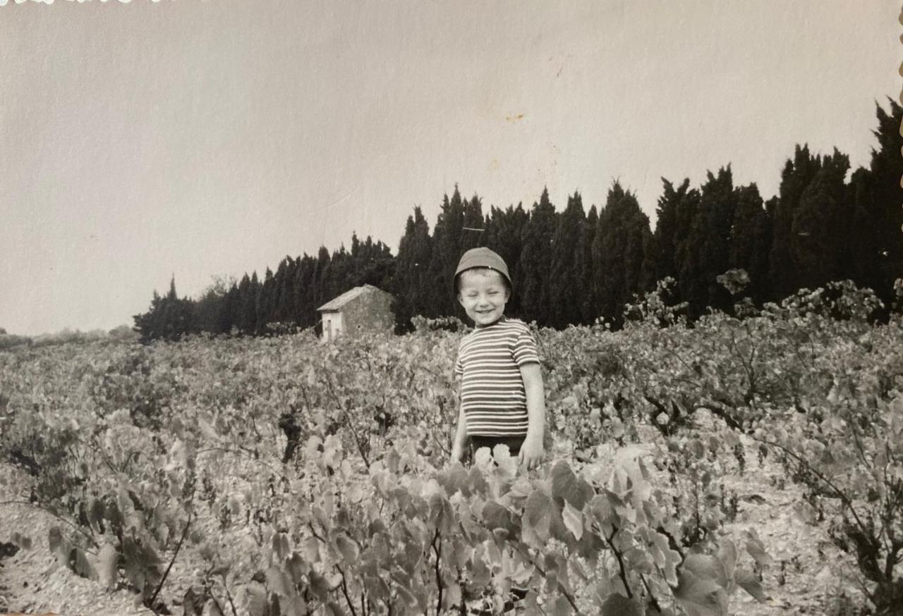 Saint-Rémy-de-Provence Mas De La Cadeniere 빌라 외부 사진